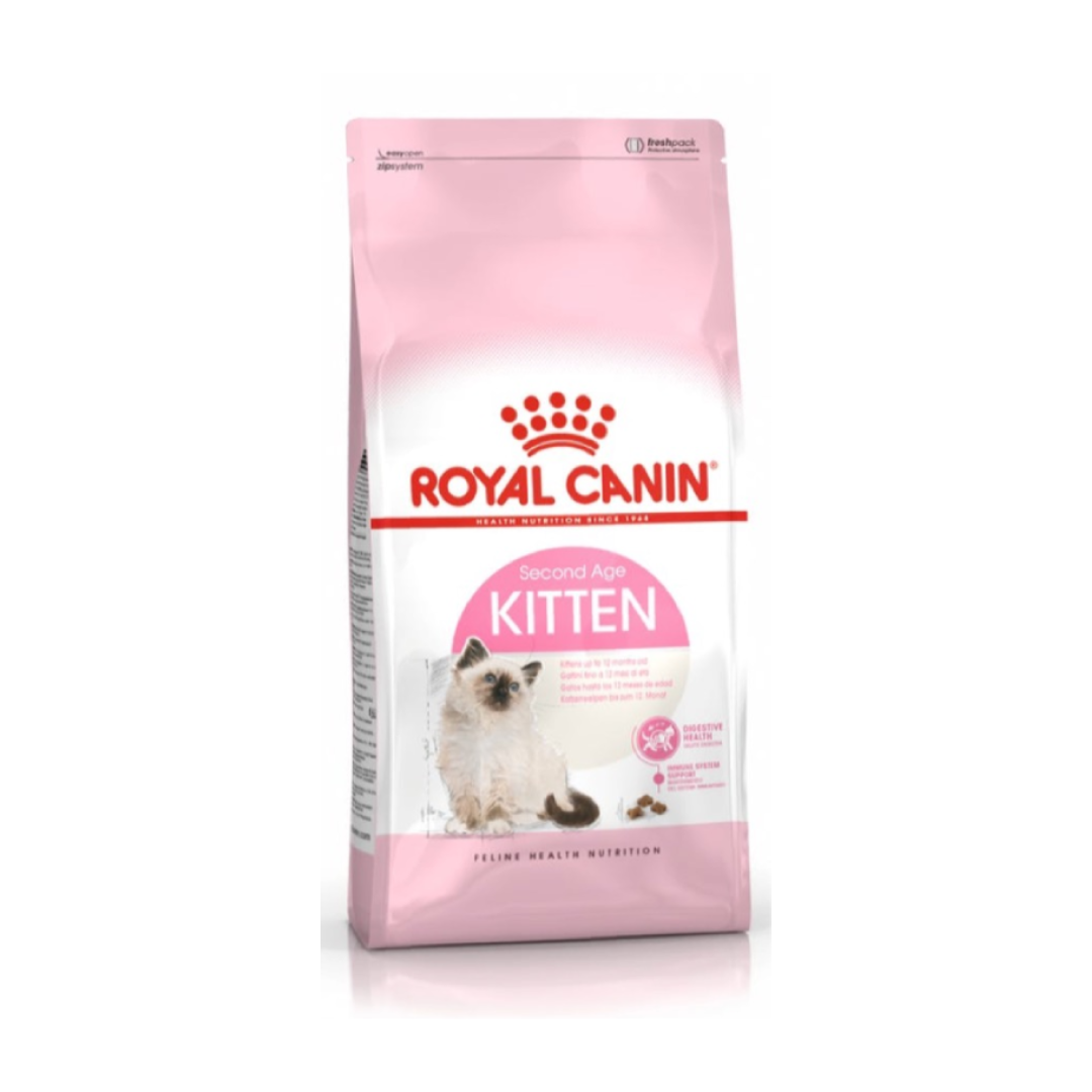R/Y Kitten 36 ลูกแมว 4 Kg.