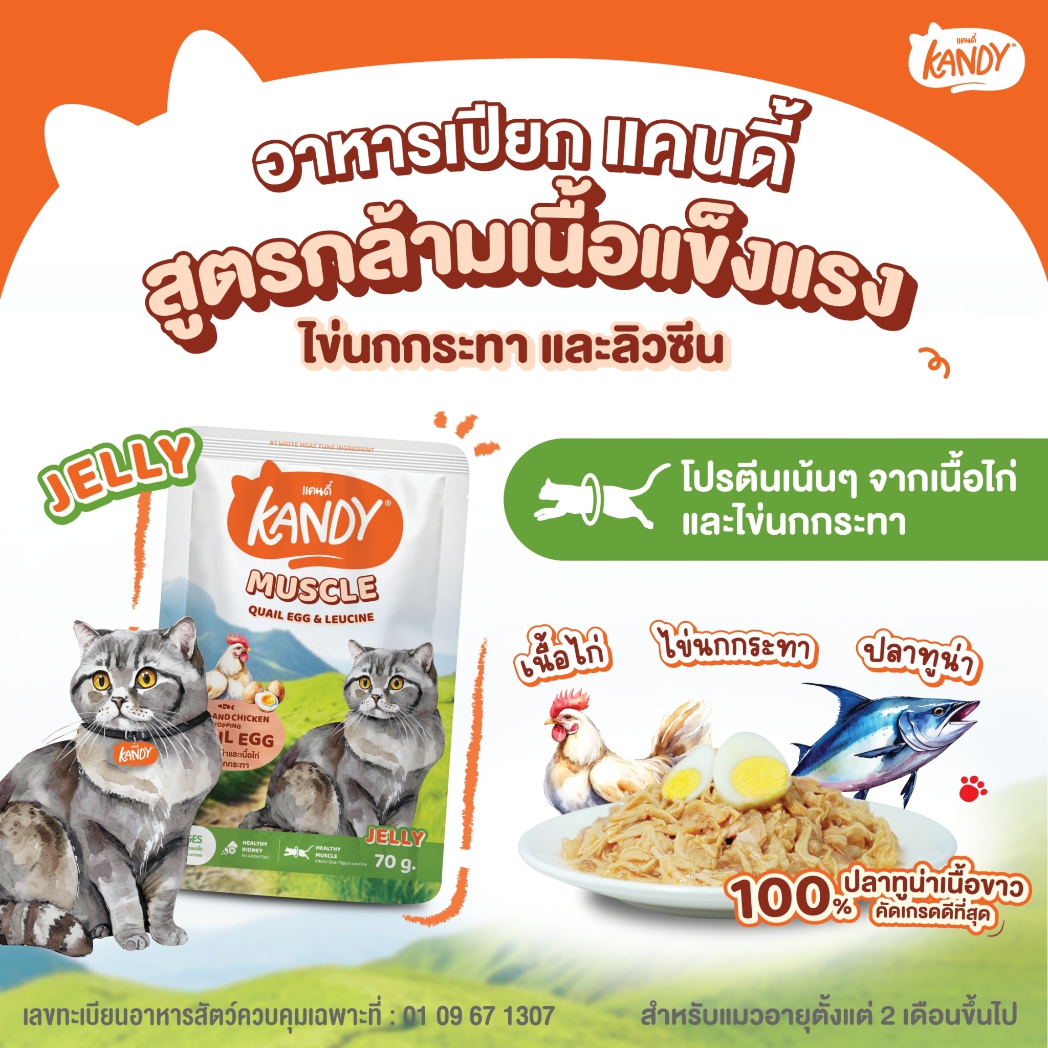 Kandy Muscle ปลาทูน่าและเนื้อไก่หน้าไข่นกกระทา 70 กรัม