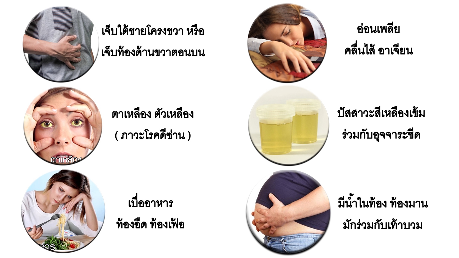 ยาบำรุงตับ