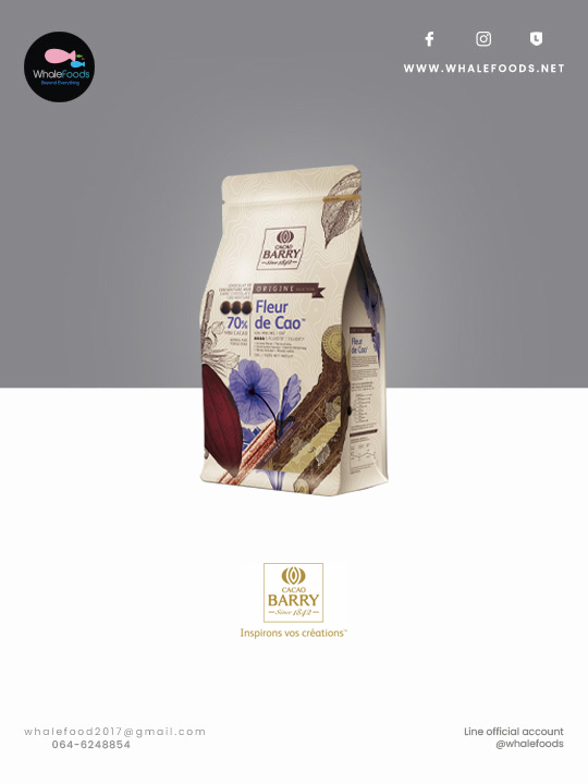 Cacao barry Dark Chocolate 70% "Fleur de Cao"