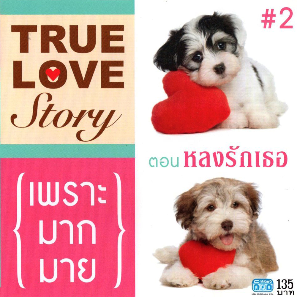 แผ่นซีดี เพลงไทย TRUE LOVE STORY #2 หลงรักเธอ