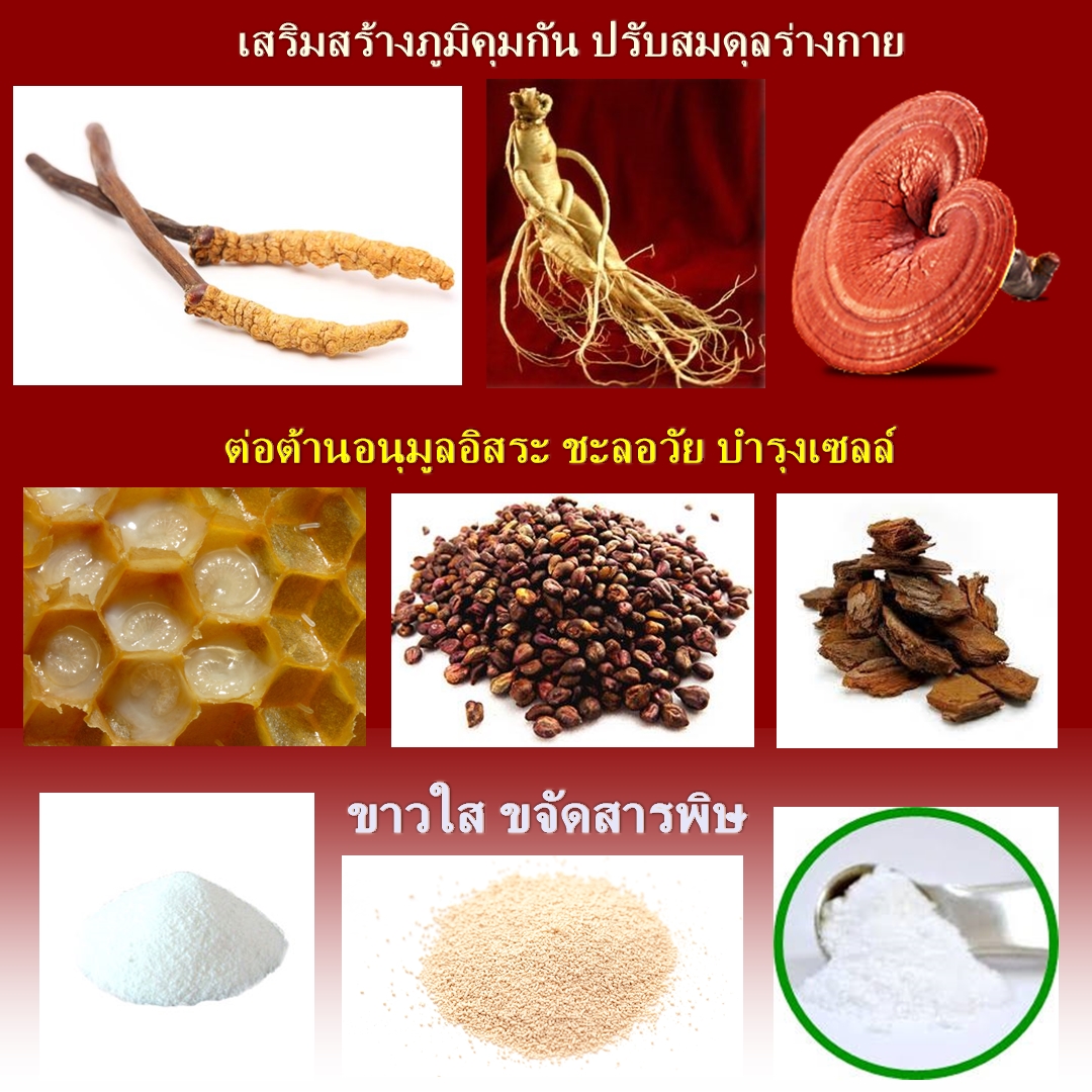  Korejins D โกเรจินส์ ดี