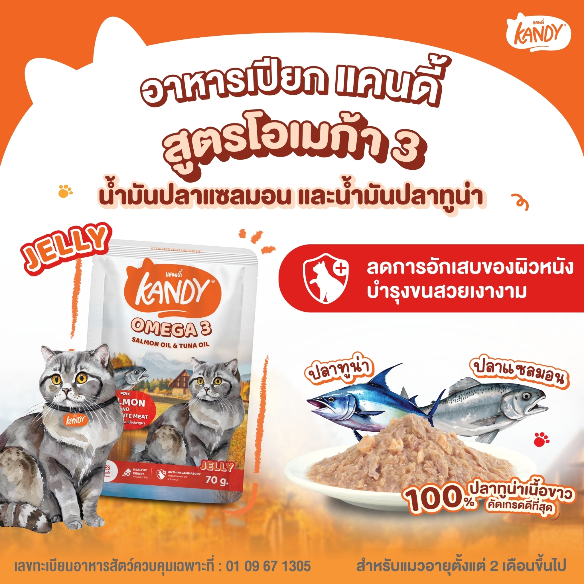 Kandy Omega 3 ปลาแซลมอนและปลาทูน่า 70 กรัม