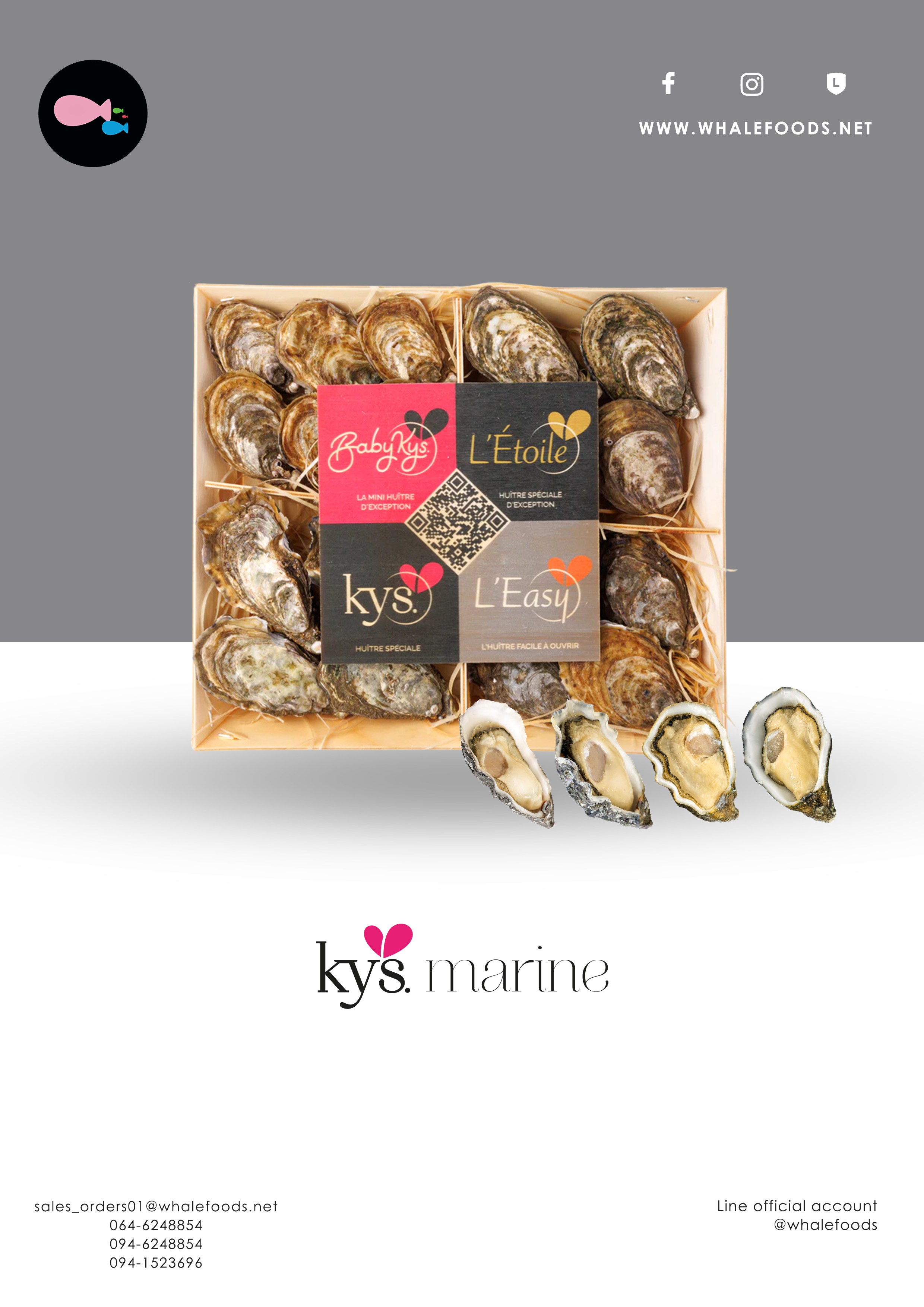 Live Coffret Kys Oyster 18pc - baby kys 6pc - etoile 4 pcs - Kys 4 pcs - L easy 4 pcs