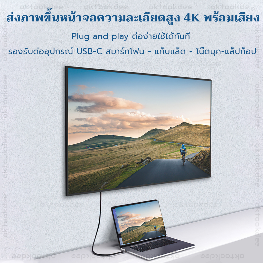 USB-C to USB-C PD100W USB 3.1 10Gbps 4K@60Hz