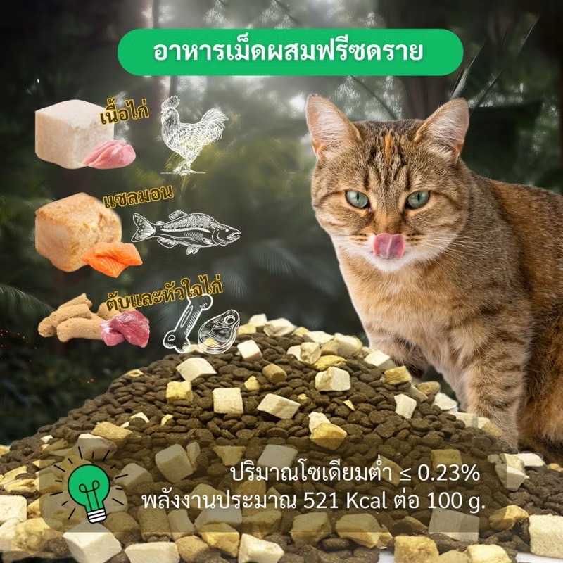 Bite of Wild Grain Free โปรตีน 42% จากเนื้อไก่และปลาแซลมอน 1 Kg