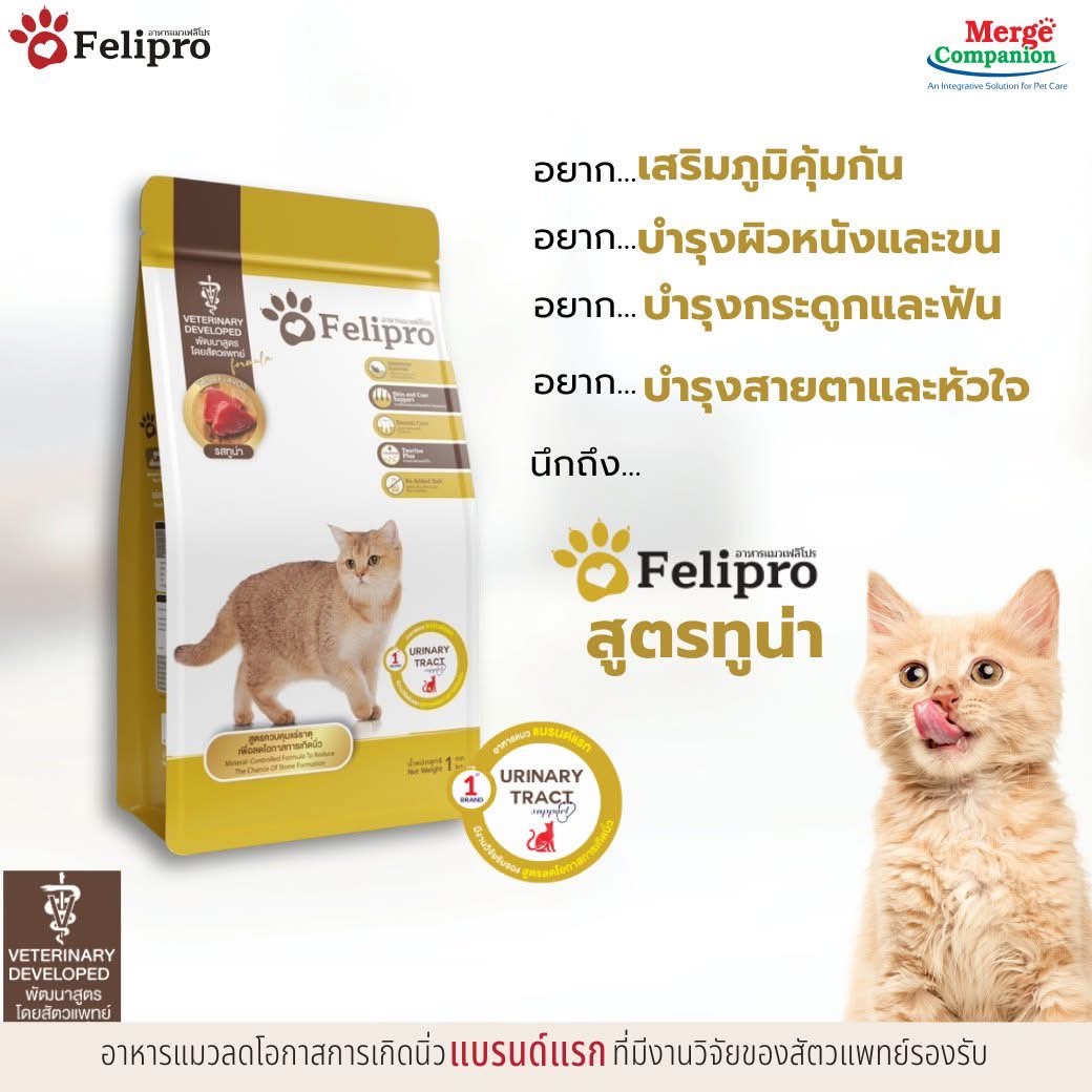 Felipro แมวทุกช่วงอายุ รสทูน่า 1Kg