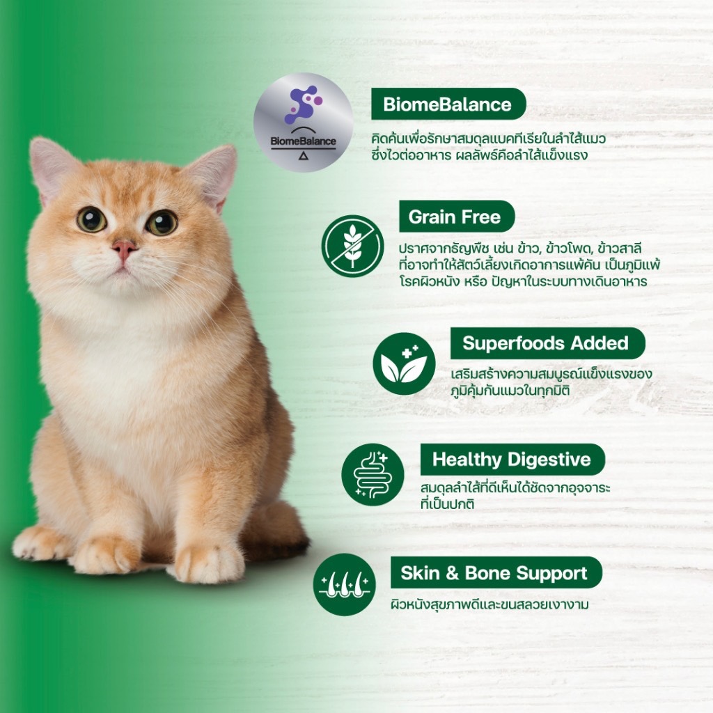 Life Mate Grain Free C42 แมวเลี้ยงในบ้าน (แกะ) 1.2 กิโลกรัม