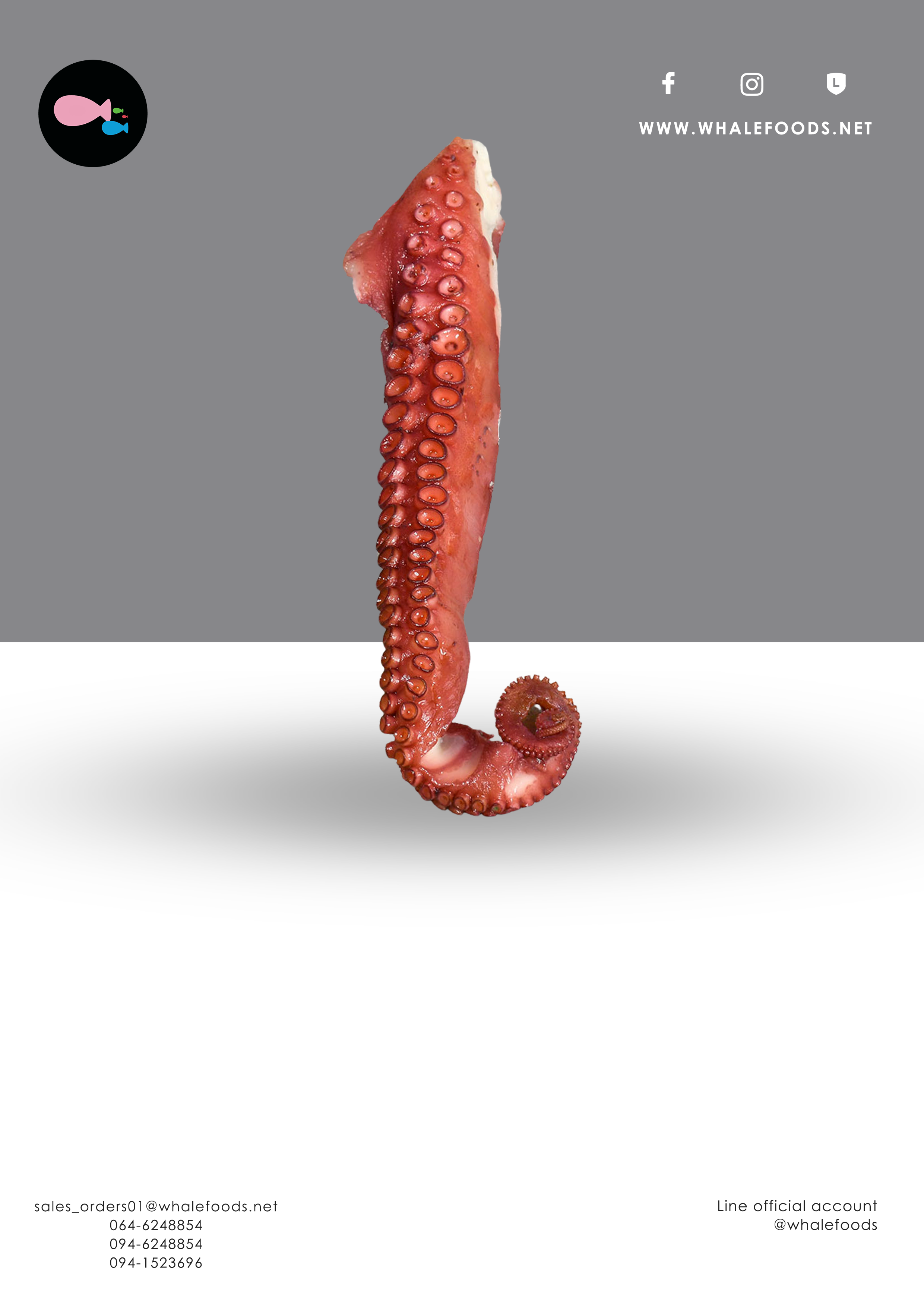 Giant Octopus Tentacle