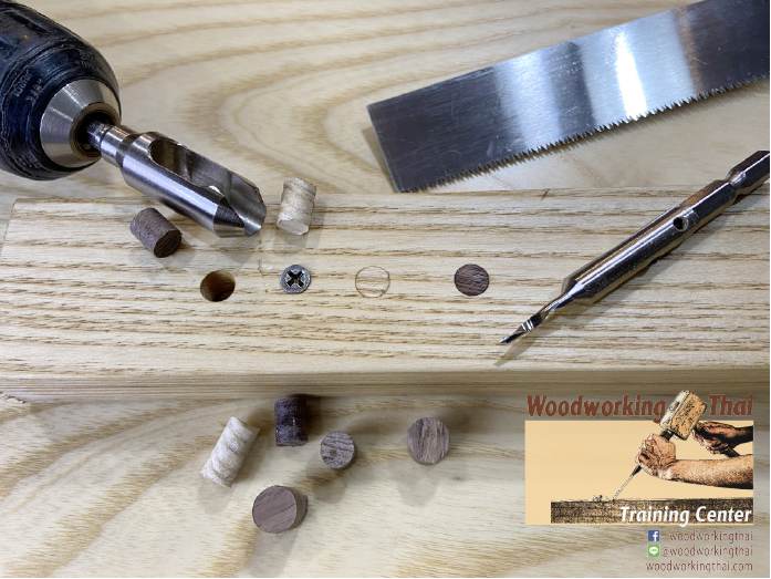 ชุด ดอกเจาะ Counter Sink และ Plug Cutter 10 มิลลิเมตร