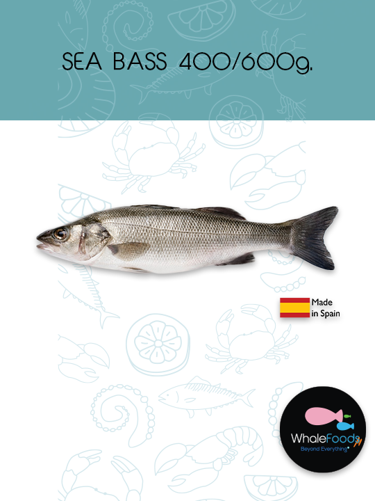 SEA BASS 400/600g. Esp