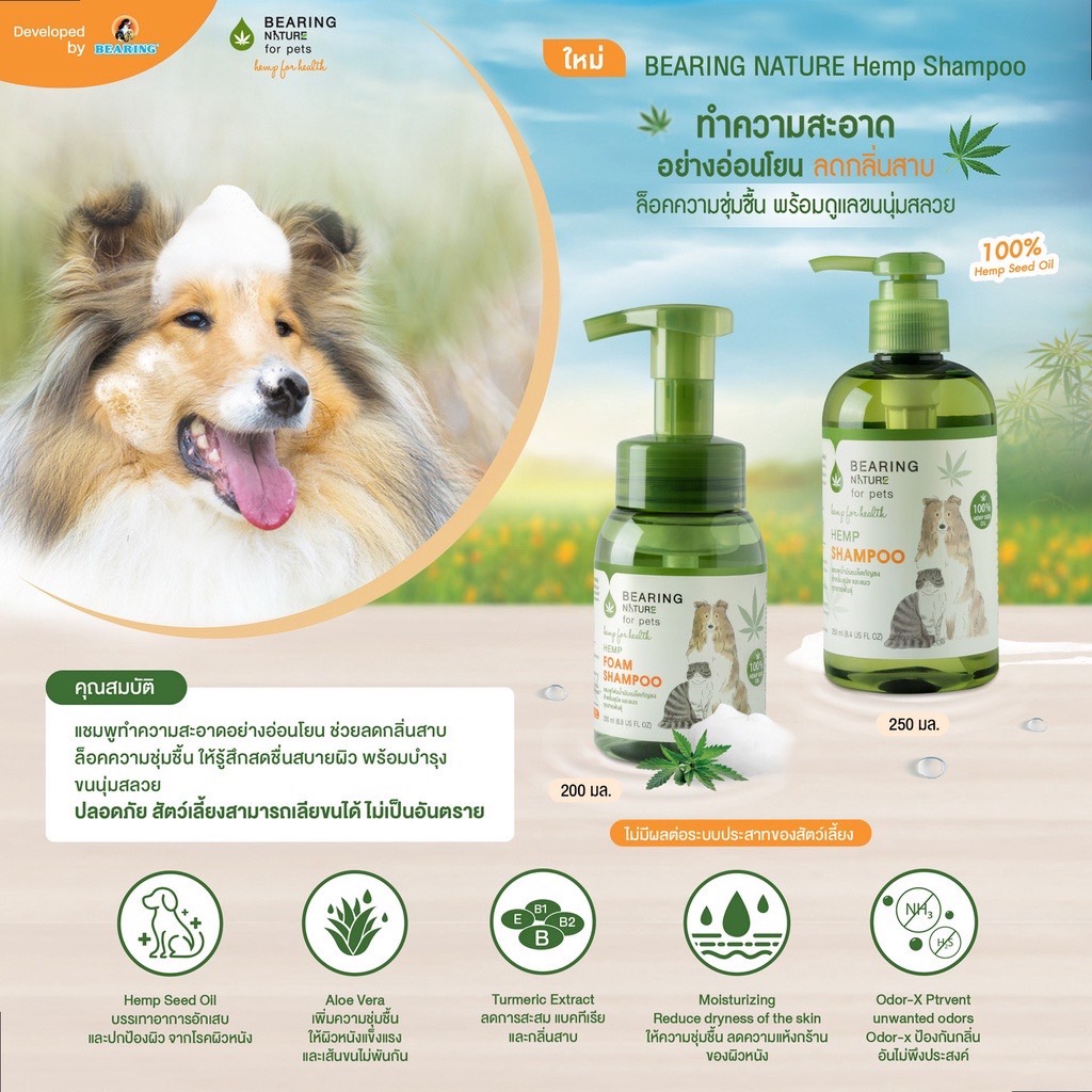 Bearing Nature แชมพูเมล็ดกัญชง 250 มล.