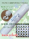 ์ANGELS INLINE POST CARBON 2.5"X12" (25 ชิ้น/ลัง)