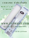 AQUATEK CERAMIC 0.3 MICRON 2.5"x10" หัวตัด-ท้ายตัด