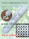 ANGELS INLINE POST CARBON 2"X10" (25 ชิ้น/ลัง)