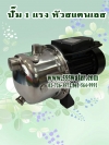 ปั๊ม 1 แรง หัวสแตนเลส