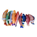 OLSP ปลาทะเลแคทนิป 1 ตัว (คละลาย)