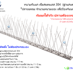 หนามกันนกสแตนเลส "ปลายแหลม" 👍อย่างดี (ฐานสแตนเลส 304)