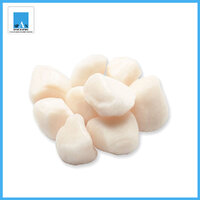 หอยเชลล์เนื้อล้วนไม่ติดไข่ (ญี่ปุ่น) ขนาด 40-60 ตัว/ปอนด์