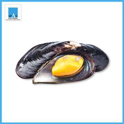 หอยแมลงภู่ชิลี