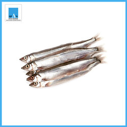 ปลาไข่นอร์เวย์ ทั้งตัว