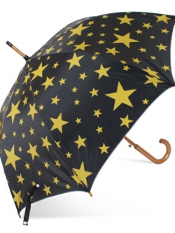 ร่มตอนเดียว (โครงไม้)