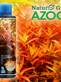 ปุ๋ยน้ำ Azoo Red Advan 250ml