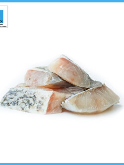 ปลากะพงขาว Premium