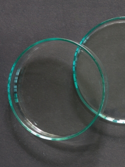 จานแก้วใส่อาหารกุ้ง ขนาด 10cm