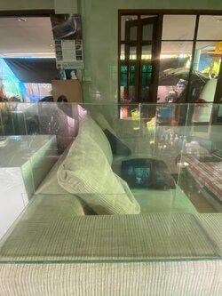 ตู้กระจกธรรมดา เจียรมือเข้างานไม้น้ำ ขนาด 24*12*12 นิ้ว