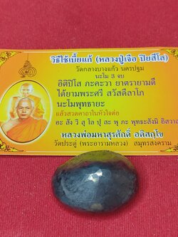 เบี้ยแก้เปลือย หลวงพ่อมหาสุรศักดิ์ วัดประดู่พระอารามหลวง ปี64