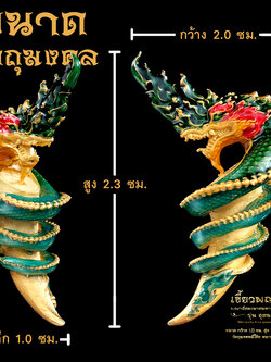 พญาสัตตะนาคมหาวรรณภาคมงคล เขี้ยวพญานาค รุ่นอุดมมงคล (พร้อมส่ง)