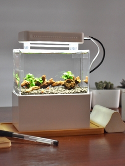 ตู้ไม้น้ำจิ๋วสีขาว