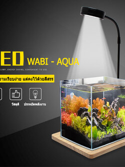 ไฟ Wabi-Kusa แบบฐานไม้สี่เหลี่ยม