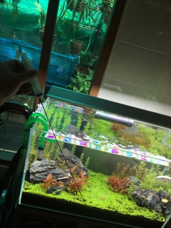 เข็มฉีดปุ๋ยน้ำแบบยาว