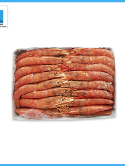 กุ้งแดงอาร์เจนติน่า