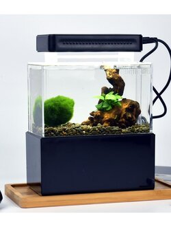 ตู้ไม้น้ำจิ๋วสีดำ