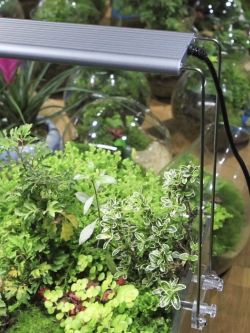 ขาเสริมไฟ Chihiros A-Series