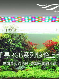 Chihiros RGB Series 24 นิ้ว