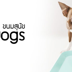 ขนมสุนัข