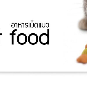 อาหารเม็ด(แมว)