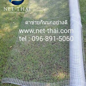 ตาข่ายกันนก PP