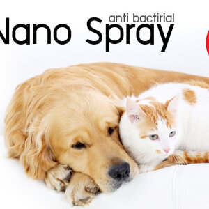 สเปรย์ nano ช่วยลดเชื้อรา เชื้อแบคทีเรีย