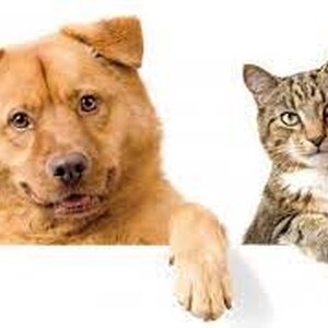 โลชั่นเช็ดหน้า