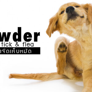 แป้งกำจัดเห็บ-หมัด