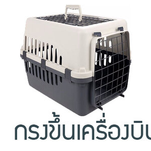 Boxเดินทาง