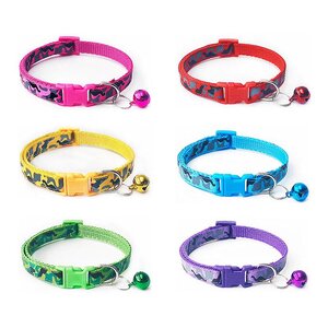 ปลอกคอหมา (pet8)