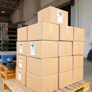 ยกลัง ราคาพิเศษ