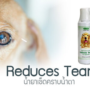 น้ำยาเกี่ยวกับตา