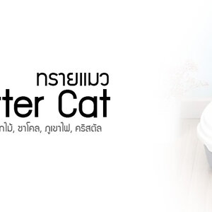 ทรายแมว